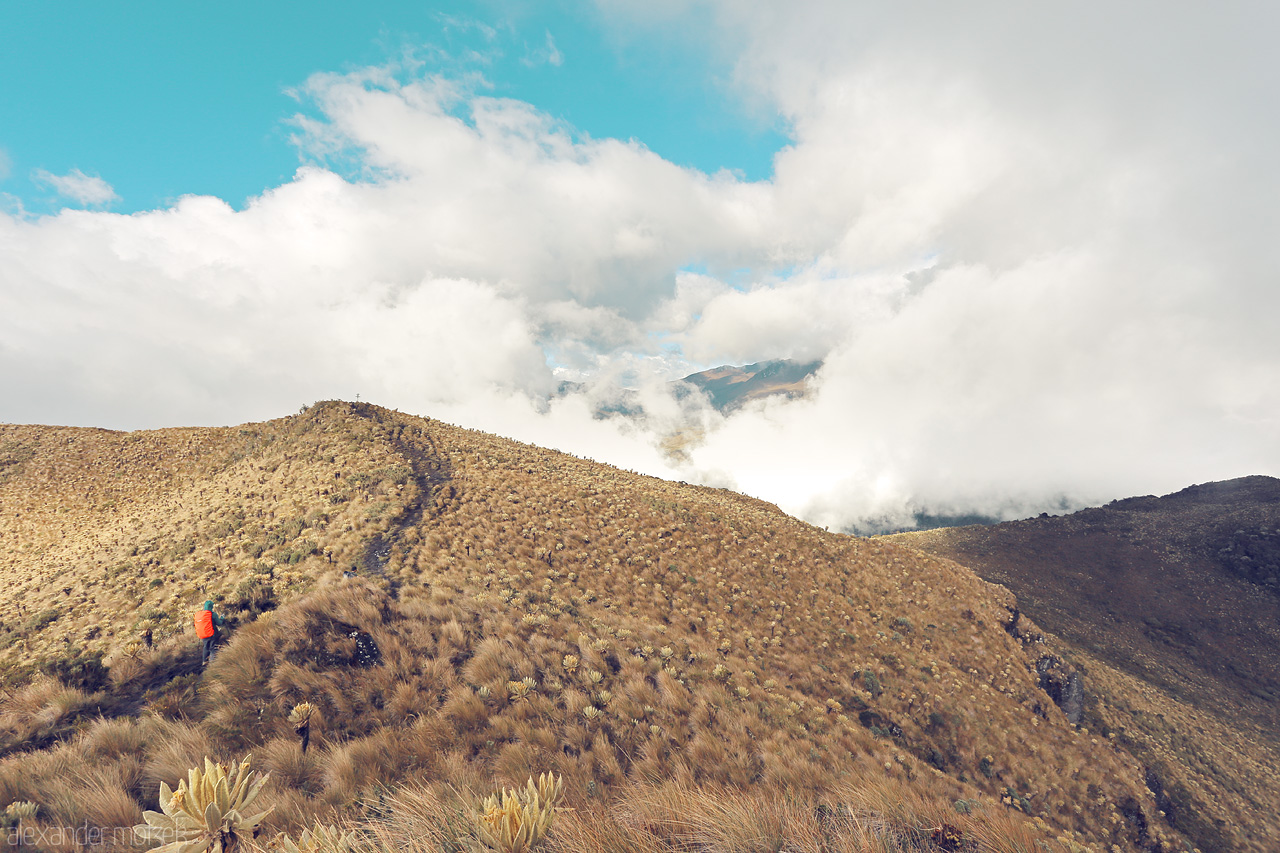 Caminos de Cielo Foto von A hiker explores the serene, misty highlands of Salento, Quindío, Colombia. Trails carved through golden grasses amidst ethereal clouds.