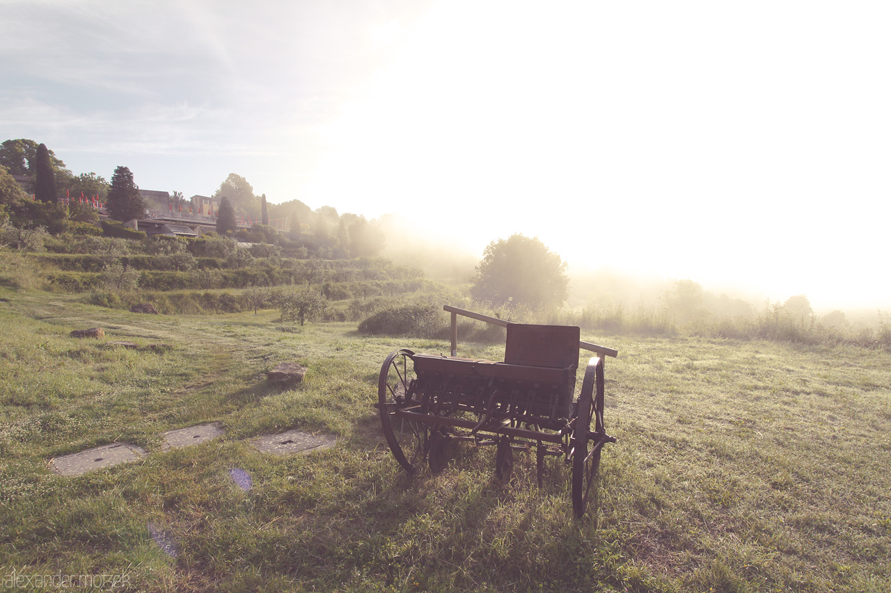 Tuscan Dawn Reverie Foto von A rustic cart basking in the soft glow of dawn amid the serene Tuscan landscape, captured in tranquil beauty and timeless charm.