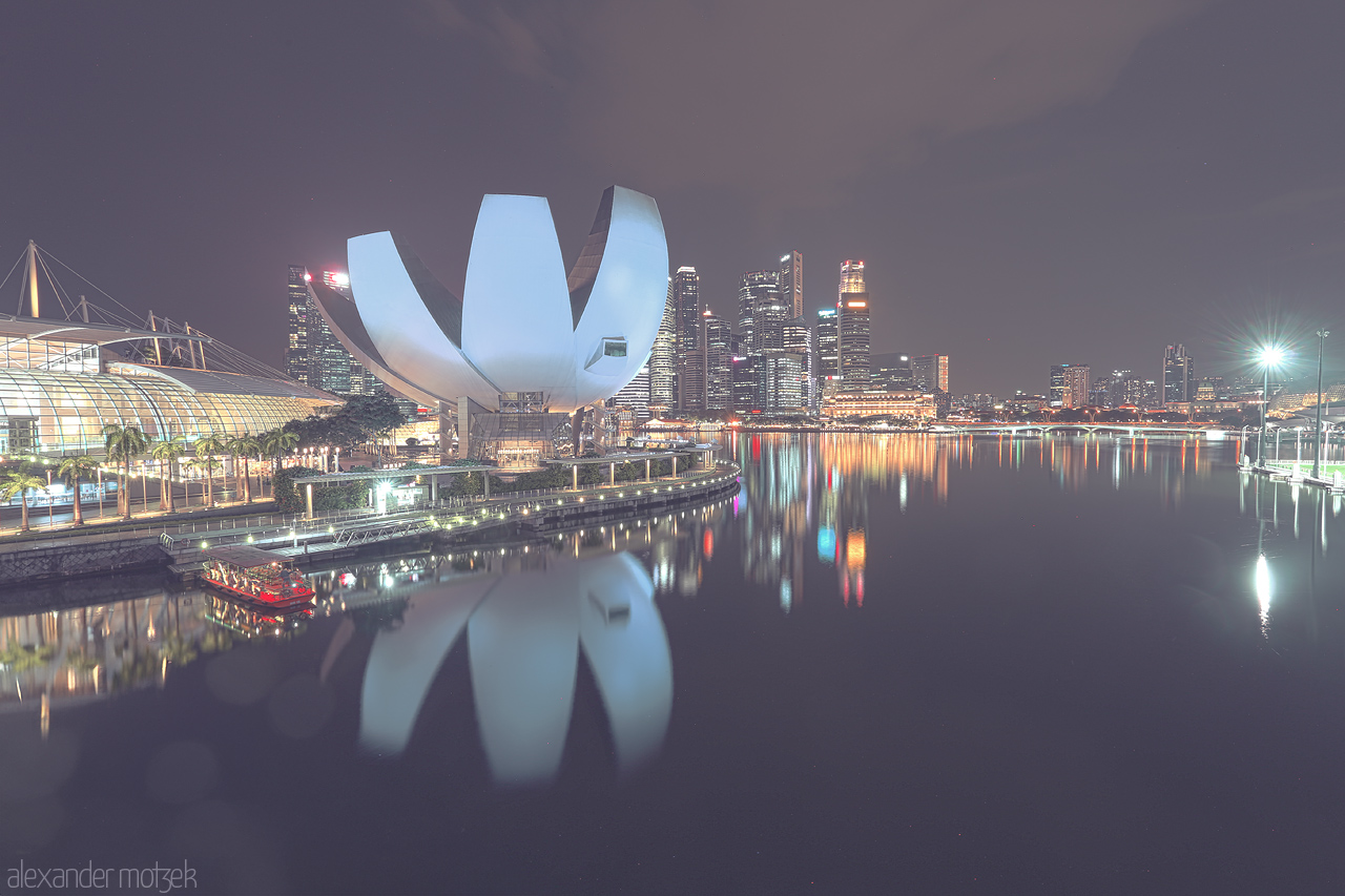Marina Bay Metamorphosis Foto von A serene night over Marina Bay, Singapore. The iconic ArtScience Museum and city skyline reflect beautifully on the tranquil waters, creating a mesmerizing scene.