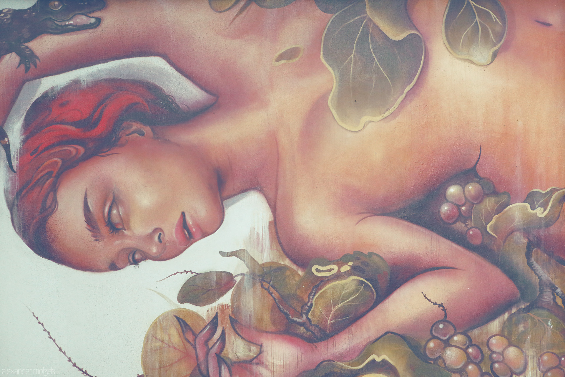 Dreams of Wynwood Foto von A vibrant mural in Wynwood, Miami, capturing the essence of tropical dreams and artistic expression.