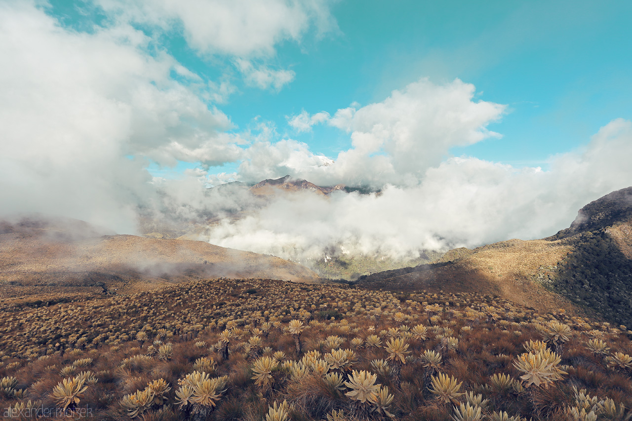 Páramo en el Horizonte Foto von An ethereal view over the páramos of Salento, Quindío, Colombia, where clouds and rocky terrain embrace in the heart of the Andes.
