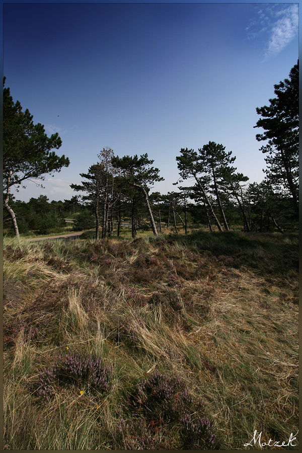 Foto von Danmark Römö