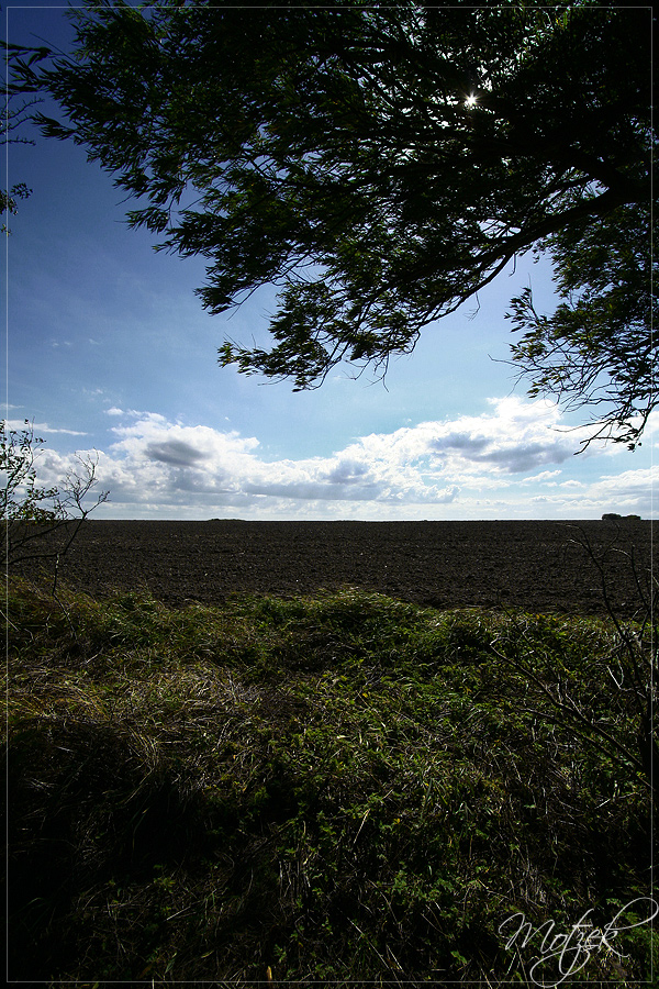 Foto von Fehmarn Feld Landschaft