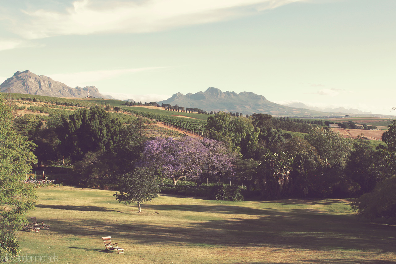 Devon Valley Hotel Foto von Blick auf das Devon Valley in Stellenbosch, Südafrika aus dem wunderschönen Devon Valley Hotel