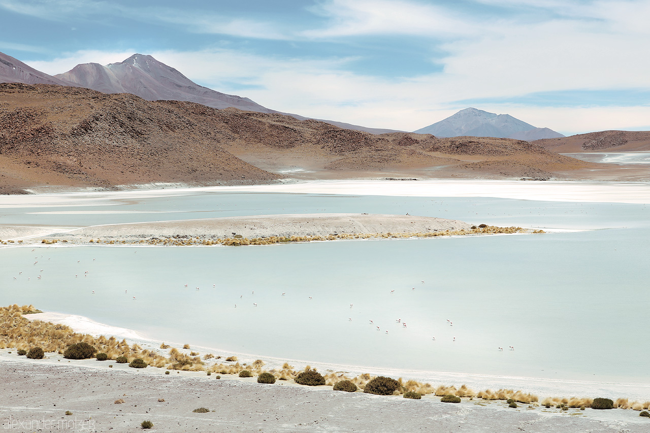 Foto von Flamingos auf der Lagune Honda in der Salzwüste Uyuni