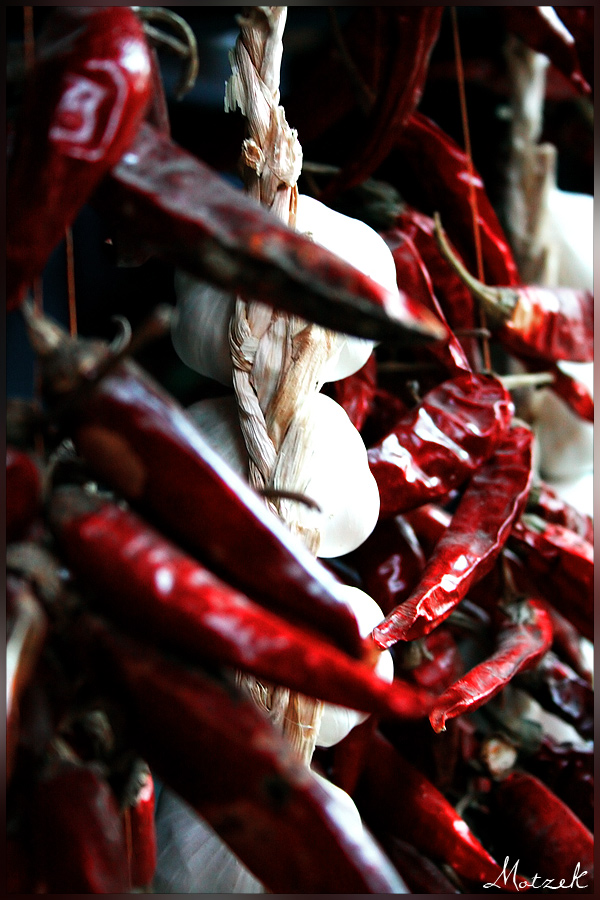 Foto von Chili Knoblauch Kette