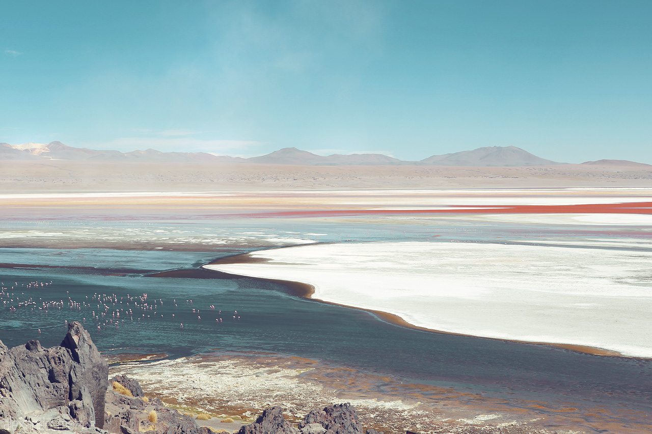 Laguna Colorada Foto von Farbenspiel in der Laguna Colorada aus rot weiß und blau in der Salzwüste Salar de Uyuni