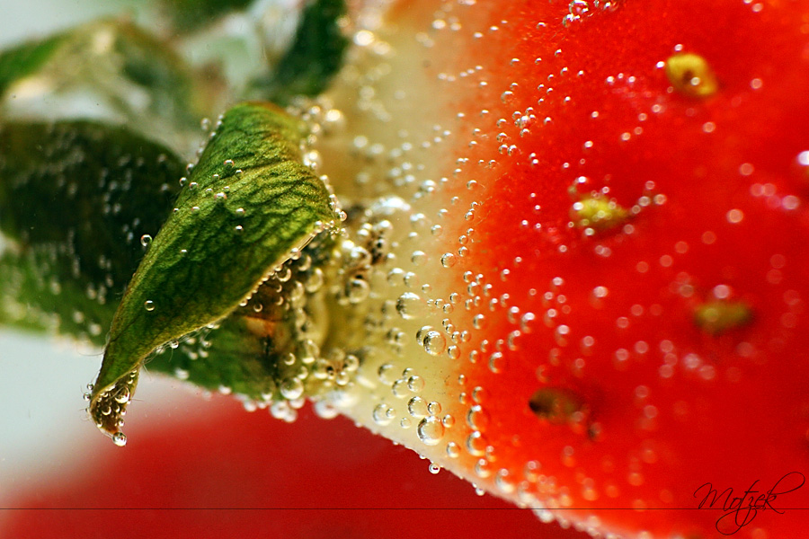 Foto von Erdbeere Makro