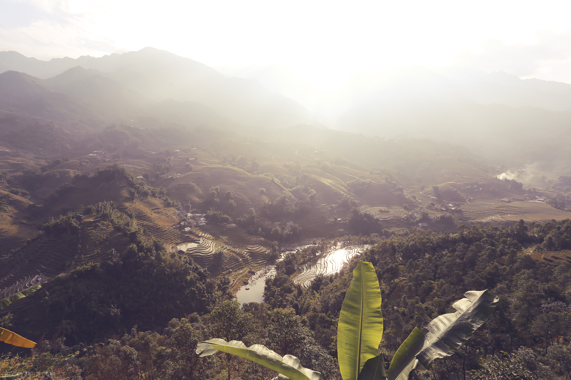 Foto von Golden light seeps through Sapa's terraced rice fields, mist curling above Muong Hoa valley's lush hills and morning palms.
