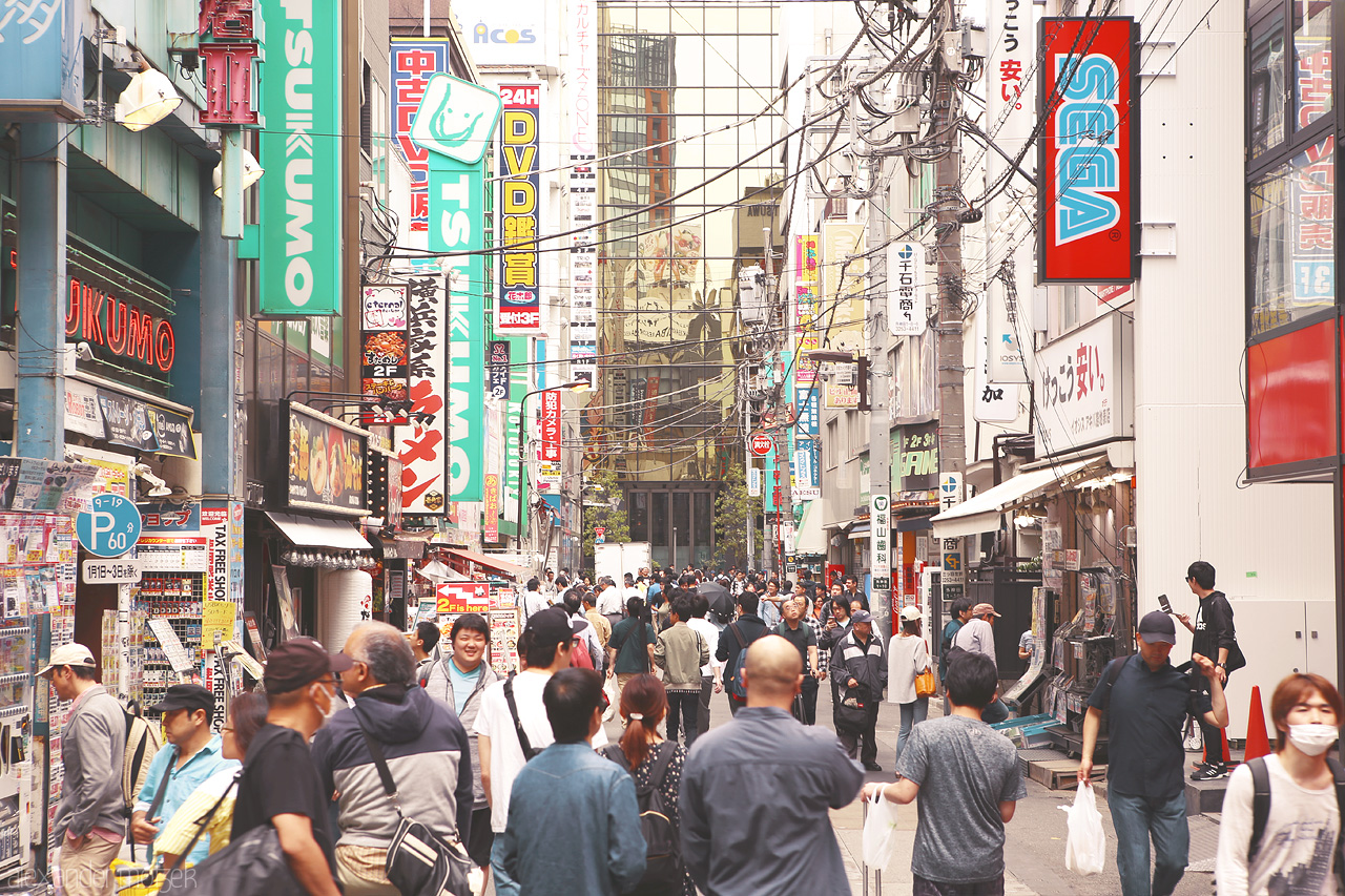 Foto von Ein Wald aus Schildern im Einkaufsviertel Akihabara in Tokyo