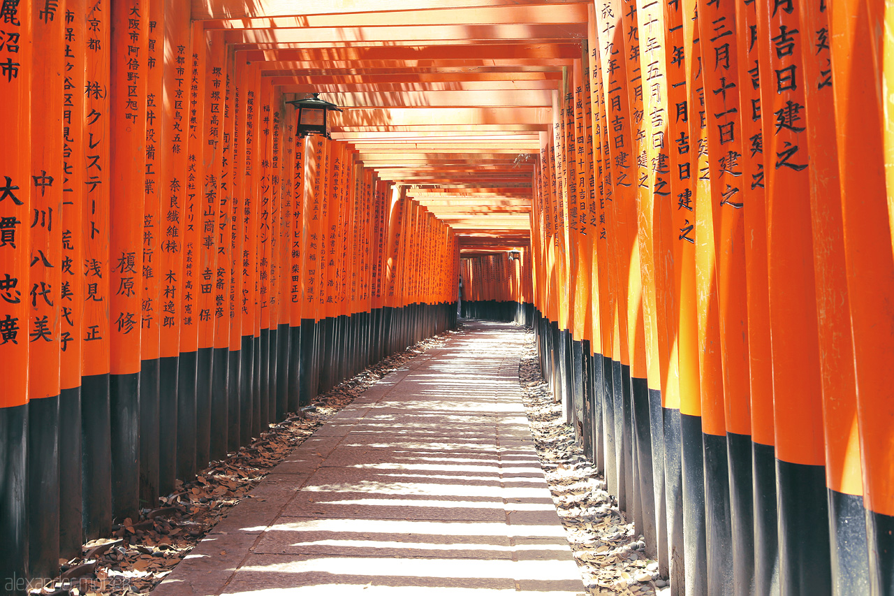 Foto von Ein riesiger Wall an Toriis erstreckt sich hinauf des Berges in Fushimi Inari