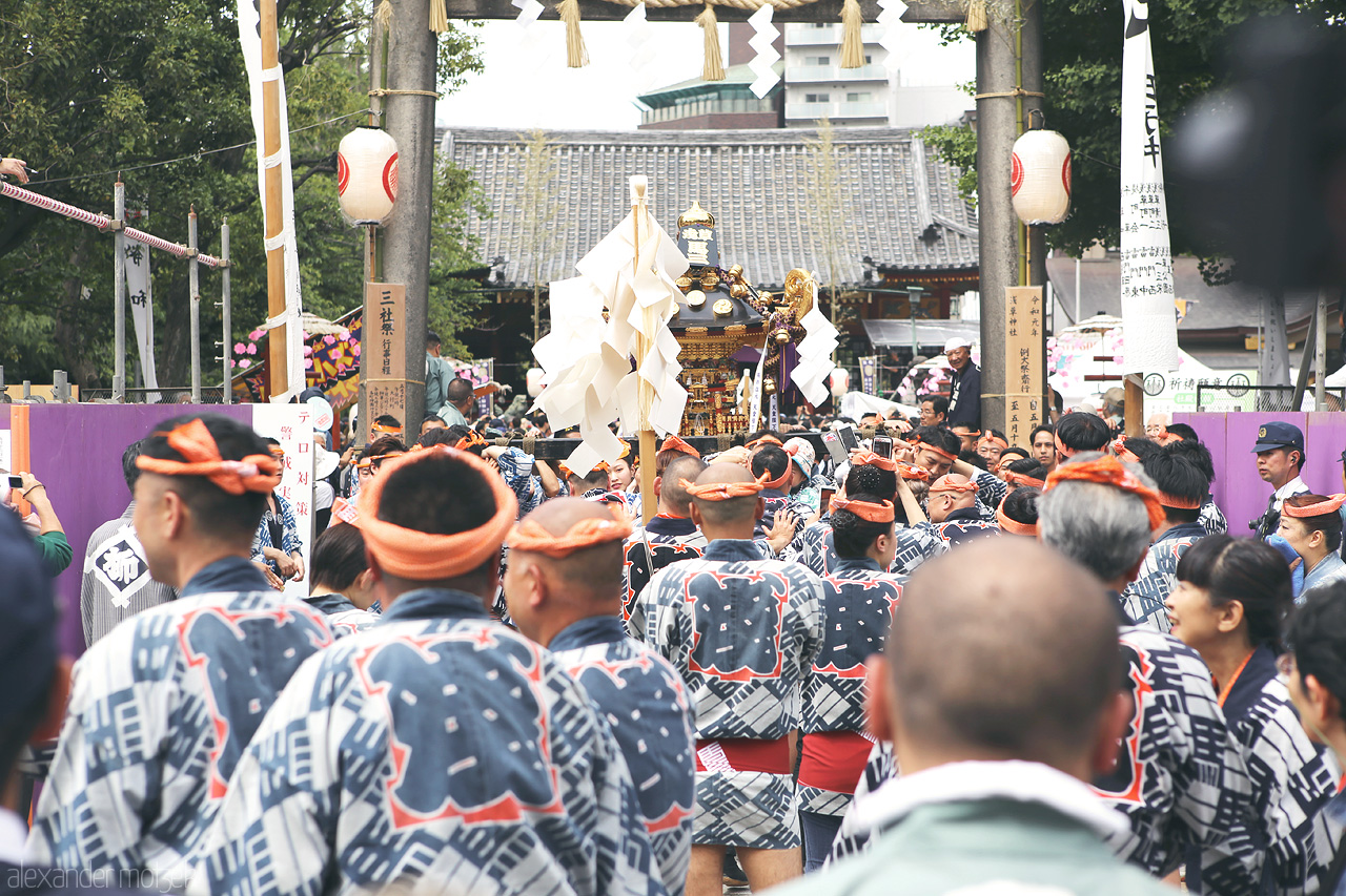 Foto von Feier des Sanja Matsuri in Tokyo