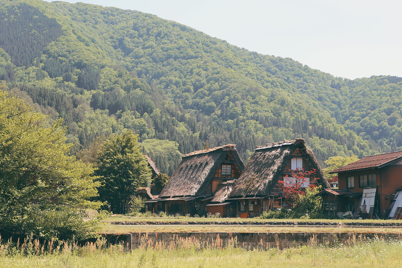 Foto von Reetdach gedeckte Hütten im klassischen japanischen Stil in Shirakawa