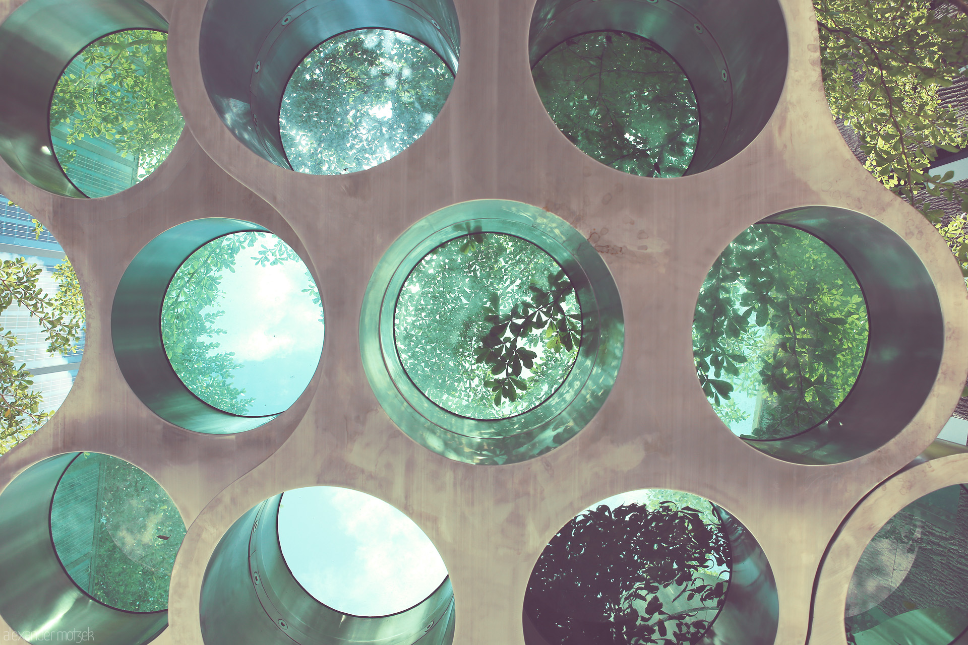 Celestial Canopy Foto von Gazing through circular skylights in Miami, where urban architecture meets the lush embrace of tropical greenery.