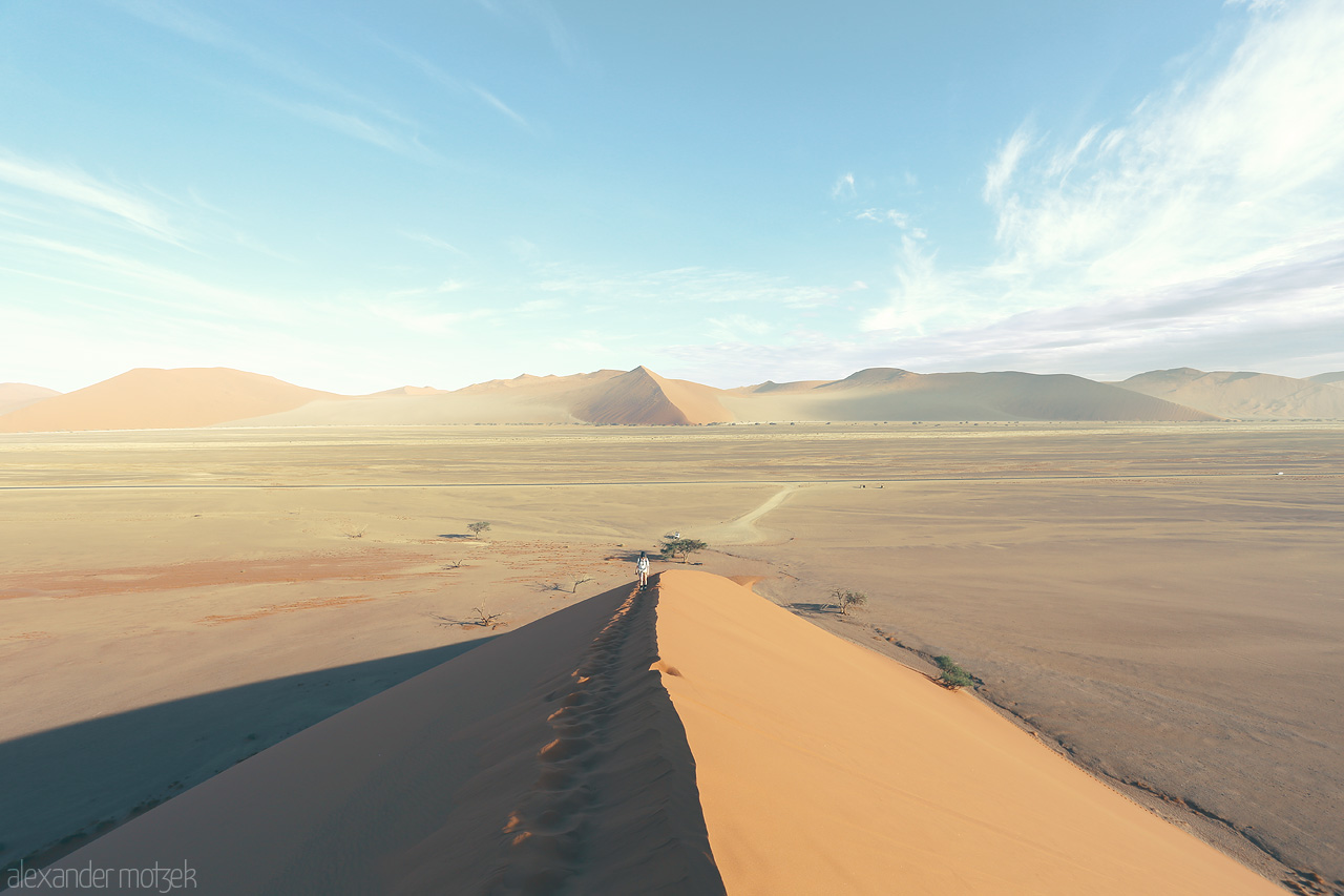 Foto von A striking Sossusvlei vista with towering sand dunes under a pastel sky, punctuated by lonely acacias.