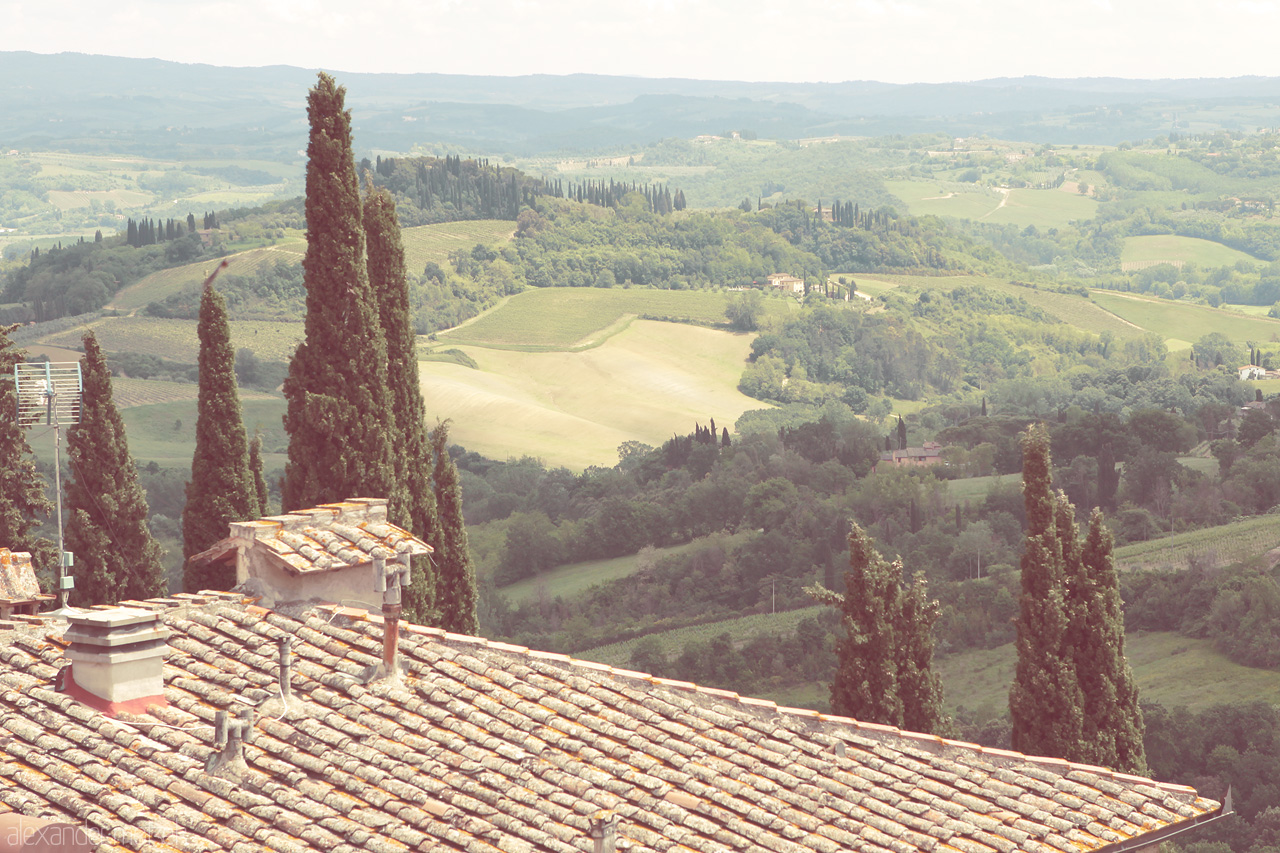 Vigneti di Bellezza Foto von Rolling hills and cypress trees under the Tuscan sun, a tranquil landscape captured in Italy's quintessential countryside.