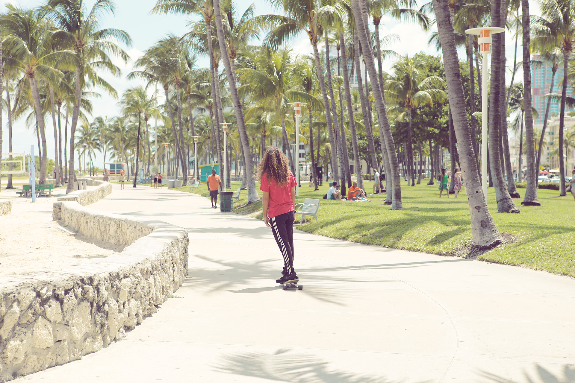 Waves of Wynwood Foto von Skateboarder navigates a palm-lined path on a sunny Miami day, capturing the city's vibrant coastal vibes.
