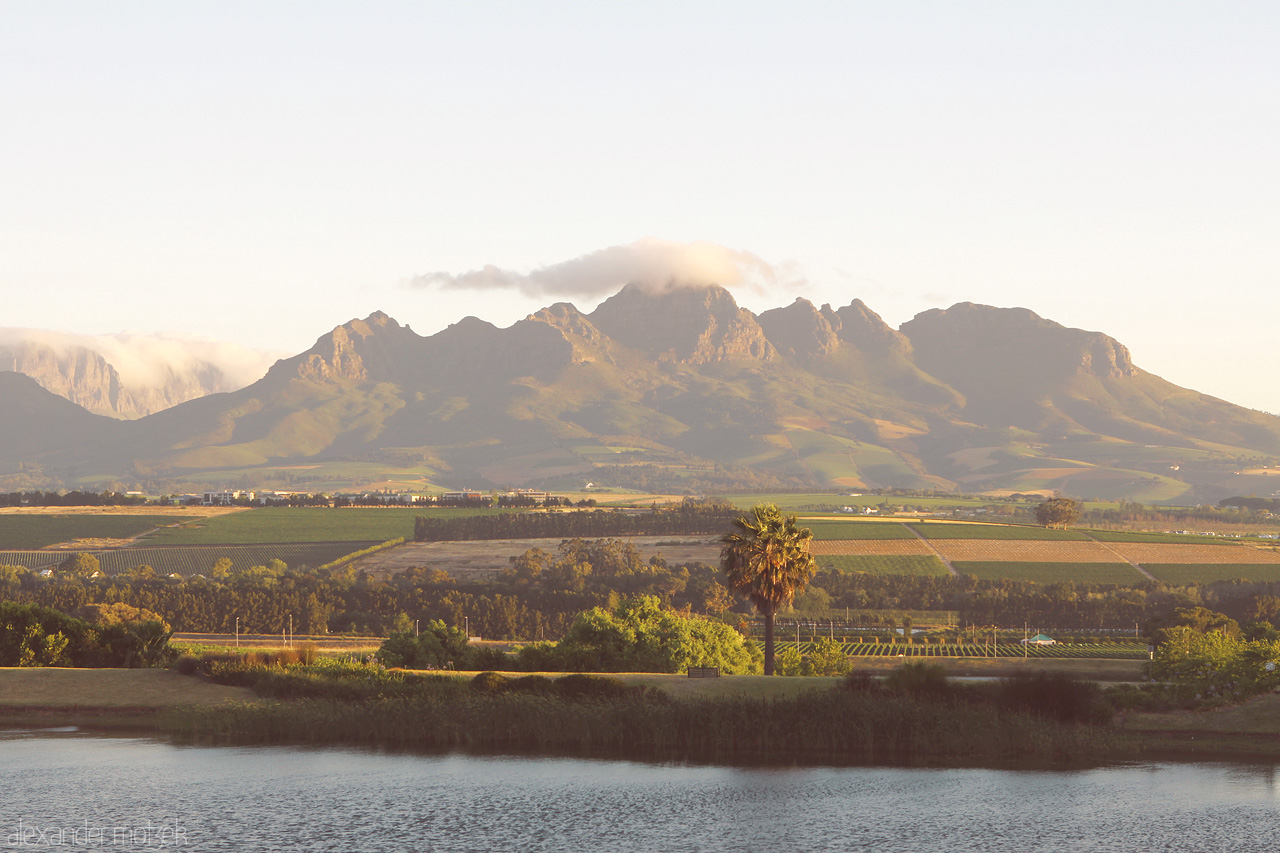 Hottentots-Holland Mountains Foto von Weinreben und Felder vor den Hottentots-Holland Bergen in Stellenbosch, Südafrika