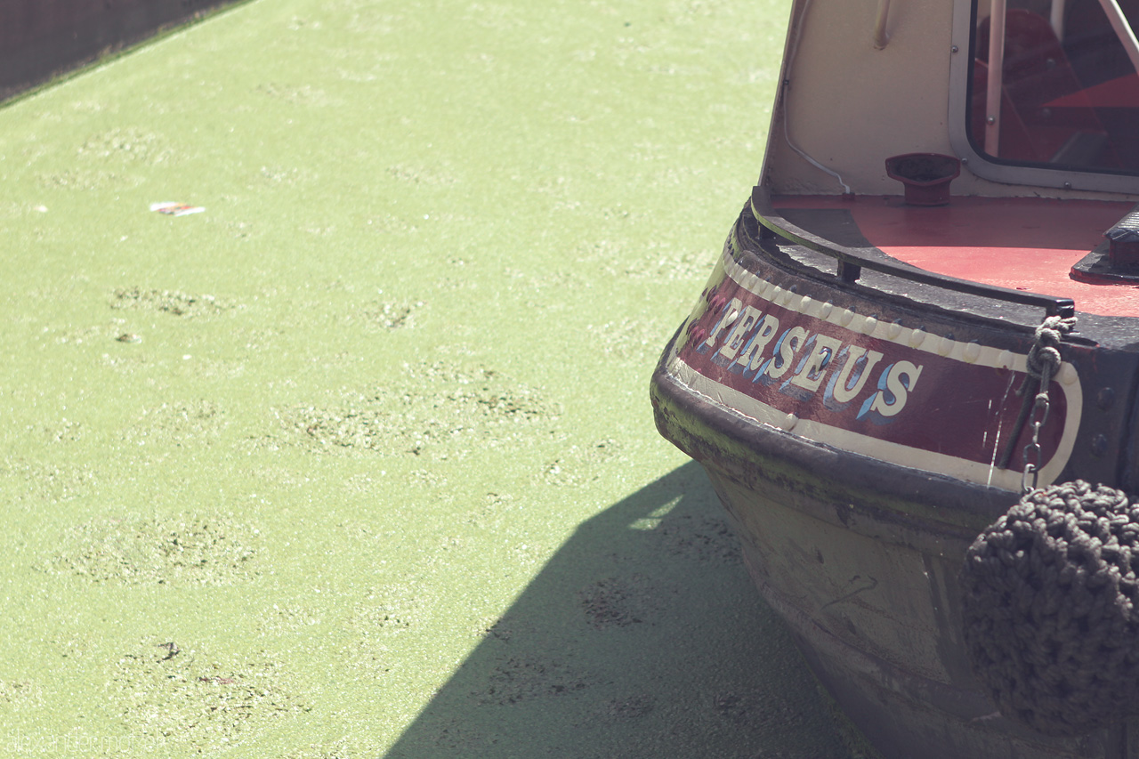 London_11.jpg Foto von